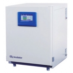 CO2 Incubator 