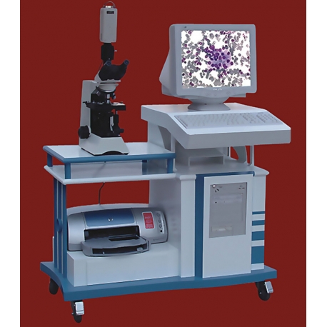 Pathological Image analysis system