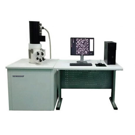 Field Emission Scanning Electron Microscope