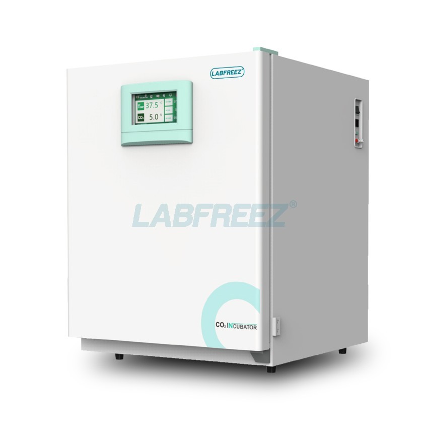 CO2 Incubator - Image 3