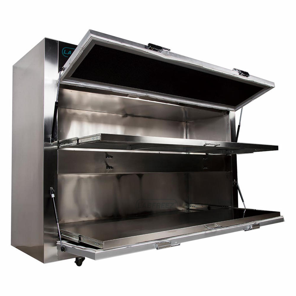 2(Two) Bodies Mortuary Corpse Storage Refrigerator Freezer - Image 4