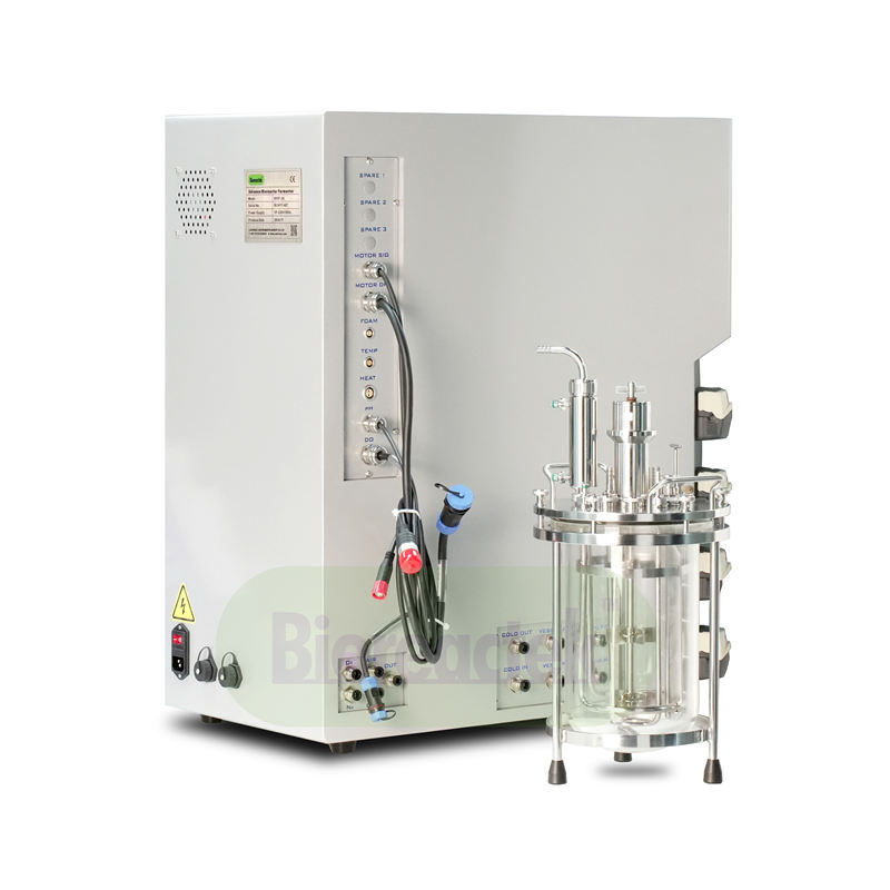 ADVANCE GLASS Cell & Bactria BIOREACTOR FERMENTER - Image 3